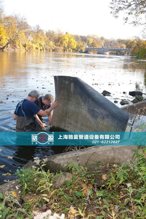 崇左寧明縣駱盈內置式鴨嘴閥在國外項目中的使用